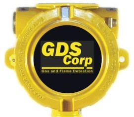 GDS 20-0099